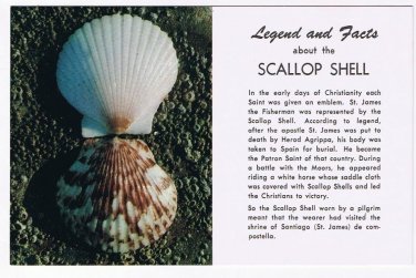 Nature Postcard Legend & Facts About Scallop Shell