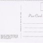 Virginia Postcard Arlington National Cemetary John F Kennedy Grave