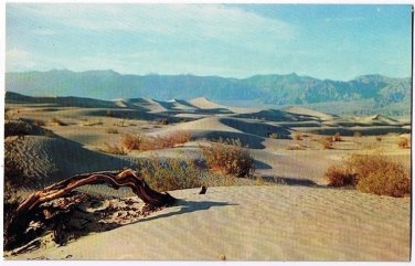 California Postcard Desert Sands Dunes