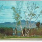 New Hampshire Postcard White Mountains Mt Chocorua & Lake