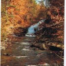 Ontario Postcard Heathcote Stream in Autumn Woods