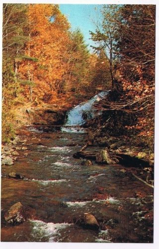 Ontario Postcard Heathcote Stream in Autumn Woods