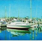 Florida Postcard St Petersburg Yacht Club Boats