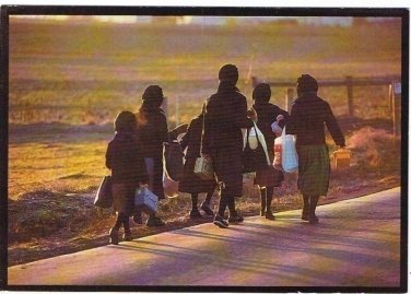 Amish School Children Postcard Amish Seasons Collection