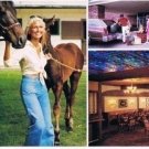 Lexington Kentucky Postcard Holiday Inn Spaghetti Hideout Multi View Long Card