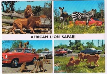 Cambridge Ontario Postcard African Lion Safari Multi View