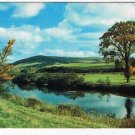 Canada Scenic Postcard Morning River Tree Rolling Hills Peaceful