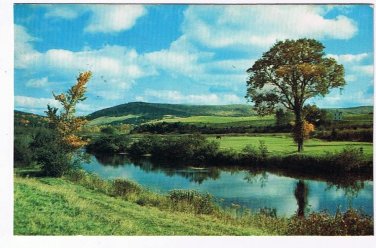 Canada Scenic Postcard Morning River Tree Rolling Hills Peaceful