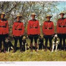 Canada Postcard RCMP Royal Canadian Mounted Police Dogs