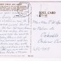 Texas Postcard Cowboy Punching Cattle On Jack Rabbit
