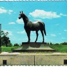 Kentucky Postcard Lexington Horse Park Man O War Wonder Horse