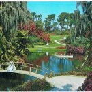 St Petersburg Florida Postcard Cypress Gardens Palms Banana Azaleas