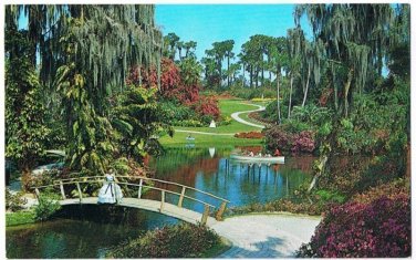 St Petersburg Florida Postcard Cypress Gardens Palms Banana Azaleas