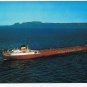 Ontario Postcard Fort William Port Arthur Sleeping Giant Canadian Steamship Line