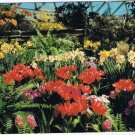 British Columbia Postcard Vancouver Queen Elizabeth Park Bloedel Conservatory