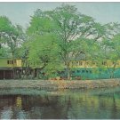 Ontario Postcard Bobcaygeon Locust Lodge Kawartha Lakes