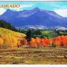 Colorado Postcard Red Aspens Grazing Sheep (Misspelt Gazing on Card) Petley 071