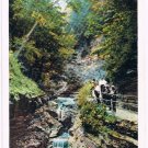 Watkins Glen New York Postcard Shadow Gorge Curteich R-91741 1922