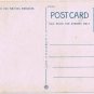 Watkins Glen New York Postcard Pluto Falls Curteich A-52137 1913