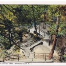 Watkins Glen New York Postcard Stairway at Lover's Lane Curteich A-52144 1913