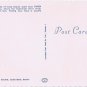 Ontario Postcard Owen Sound Inglis Falls Sydenham River