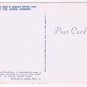 Ontario Postcard Sault Ste Marie Black Bear Yearling Cub
