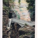 Watkins Glen New York Postcard Sentry Bridge Upper Tunnel Curteich A-52130 1922