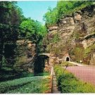 Watkins Glen New York Postcard Sentry Bridge State Park