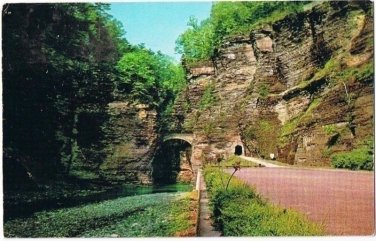 Watkins Glen New York Postcard Sentry Bridge State Park