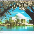 DC Postcard Washington Jefferson Memorial Blossoms