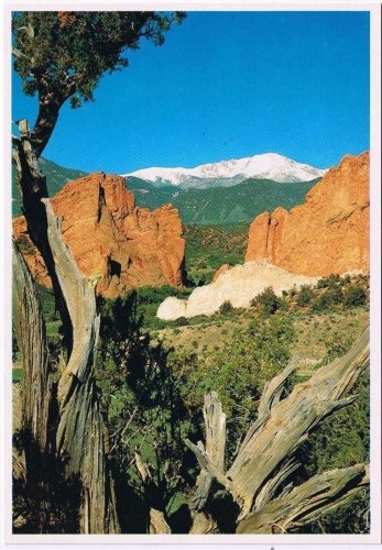 Colorado Postcard Pikes Peak From Mesa Overlooking Garden Of The Gods
