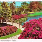 Florida Postcard Blossom Time At Cypress Gardens