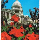 DC Postcard Washington United States Capitol