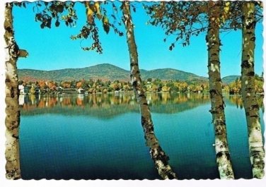 New York Postcard Lake Placid Birches Mirror Lake Drive