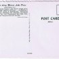 New York Postcard Lake Placid Birches Mirror Lake Drive