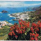 Spain Postcard Garachico Tenerife Christmas Roses