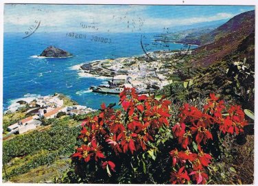 Spain Postcard Garachico Tenerife Christmas Roses