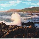 California Postcard Point Lobos State Reserve