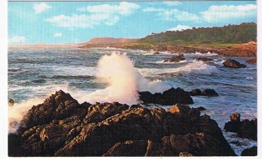 California Postcard Point Lobos State Reserve