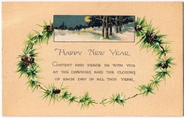 Happy New Year Postcard Pine Cone Wreath Moonlight Snow Scene