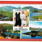 Trossachs Scotland Postcard Double Scotch Scenes