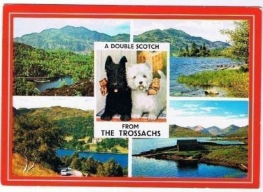 Trossachs Scotland Postcard Double Scotch Scenes