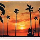 California Postcard Sunset Palm Trees