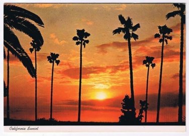 California Postcard Sunset Palm Trees