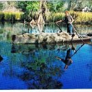Louisiana Postcard Moss Picker Cajun Spanish Moss