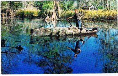 Louisiana Postcard Moss Picker Cajun Spanish Moss