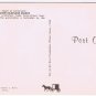 Pennslyvania Postcard Amish Carriage Maker