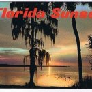 Florida Postcard Sunset Trees Ocean