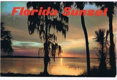 Florida Postcard Sunset Trees Ocean