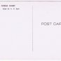 Florida Postcard Sunset Trees Ocean